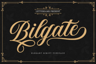 Bilgate Font for Creative Campaigns