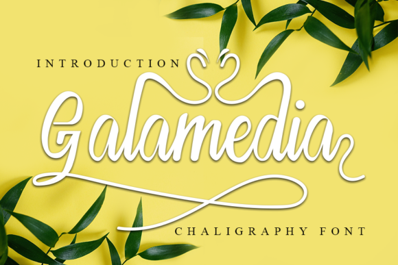 Galamedia: A Handwritten Font with Elegance and Flow