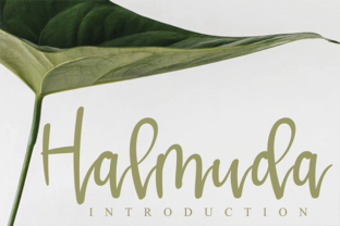 Halmuda: The Handwritten Font That Elevates Campaign Creativity