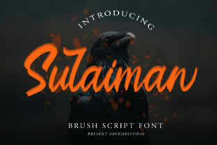 Sulaiman Font: A Charming Addition to Your Brand Typography Toolkit