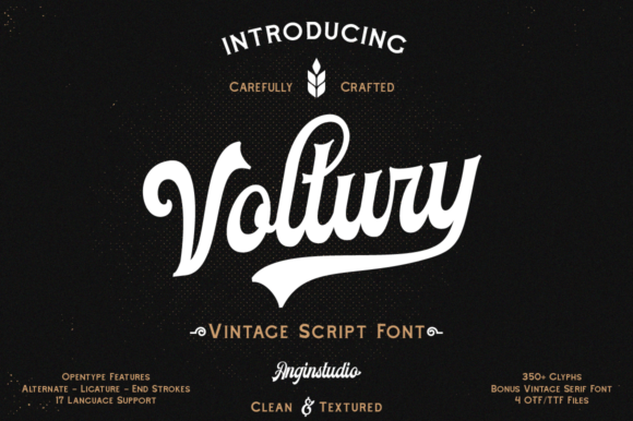 Voltury Font for Modern Web Design and Branding